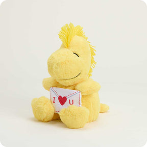 Love Letter Woodstock Warmies