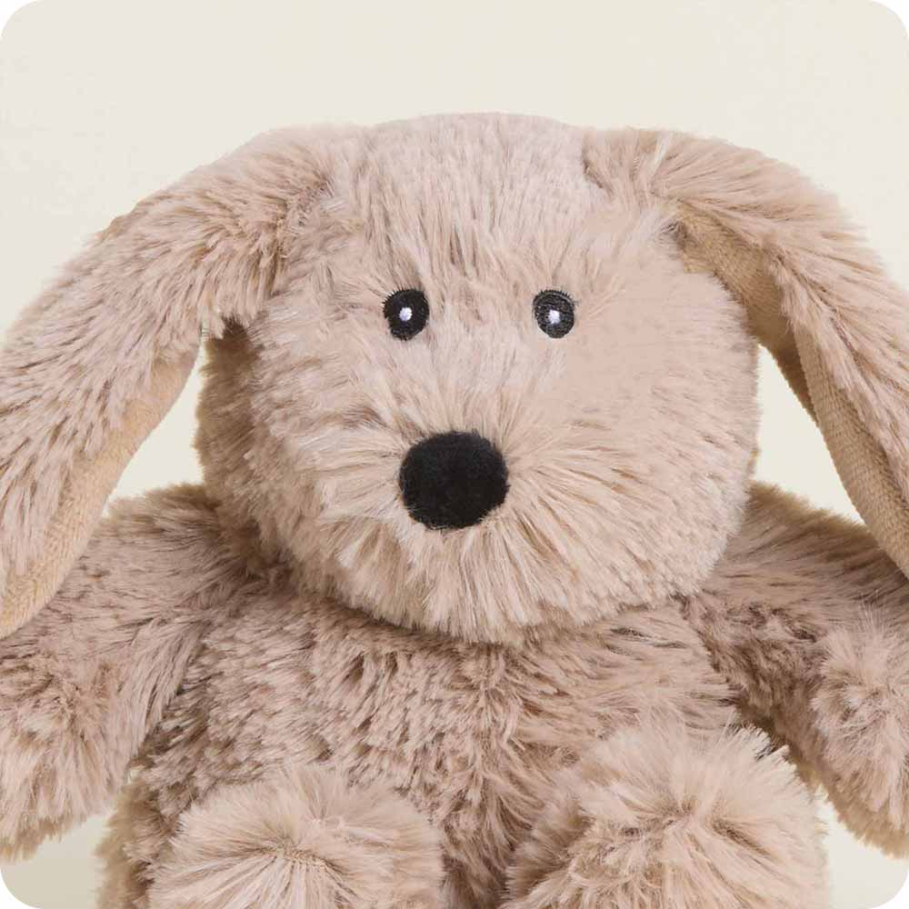 Brown Bunny Warmies Junior