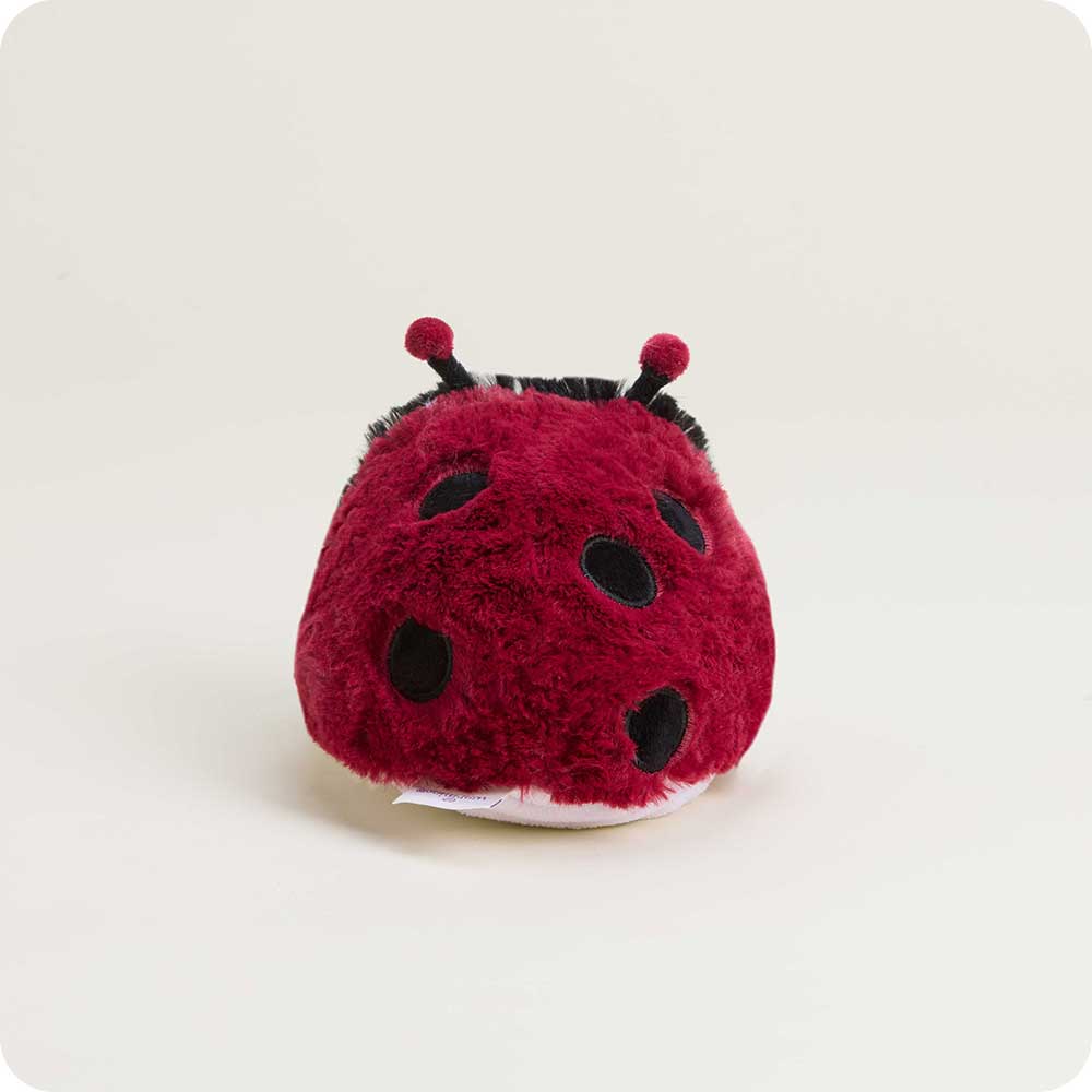 Ladybug Warmies Junior